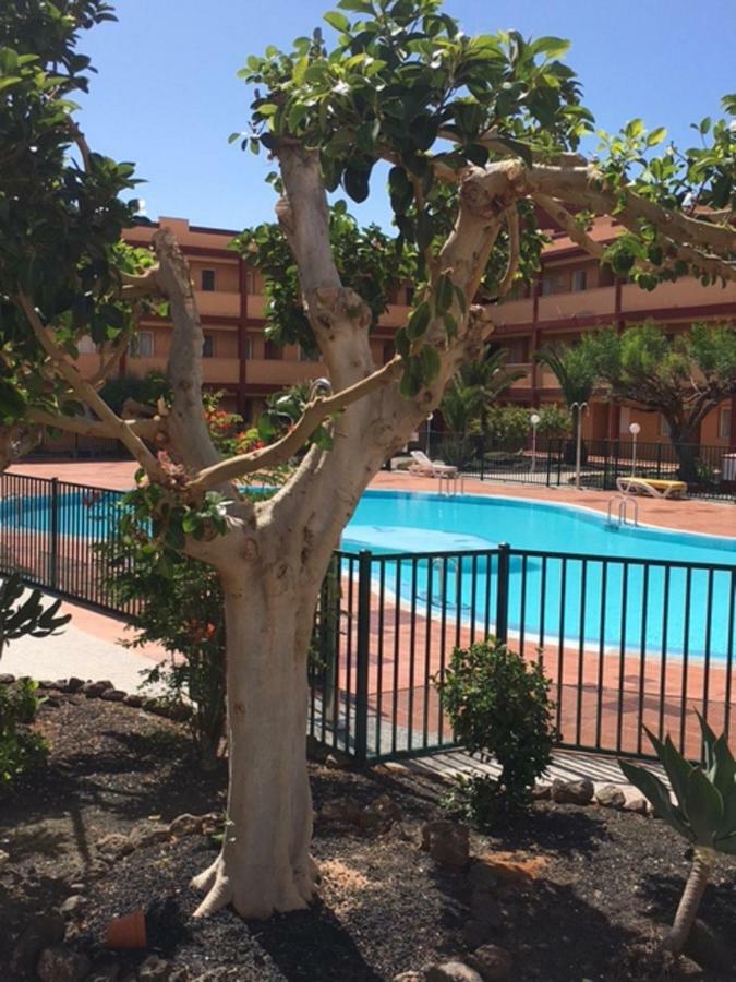 Casa Lilly Lejlighed Parque Holandes Eksteriør billede